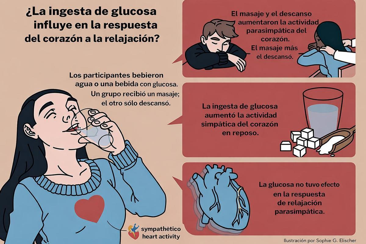 Gráfico que muestra la disminución de la variabilidad de la frecuencia cardíaca tras la ingesta de glucosa antes del masaje