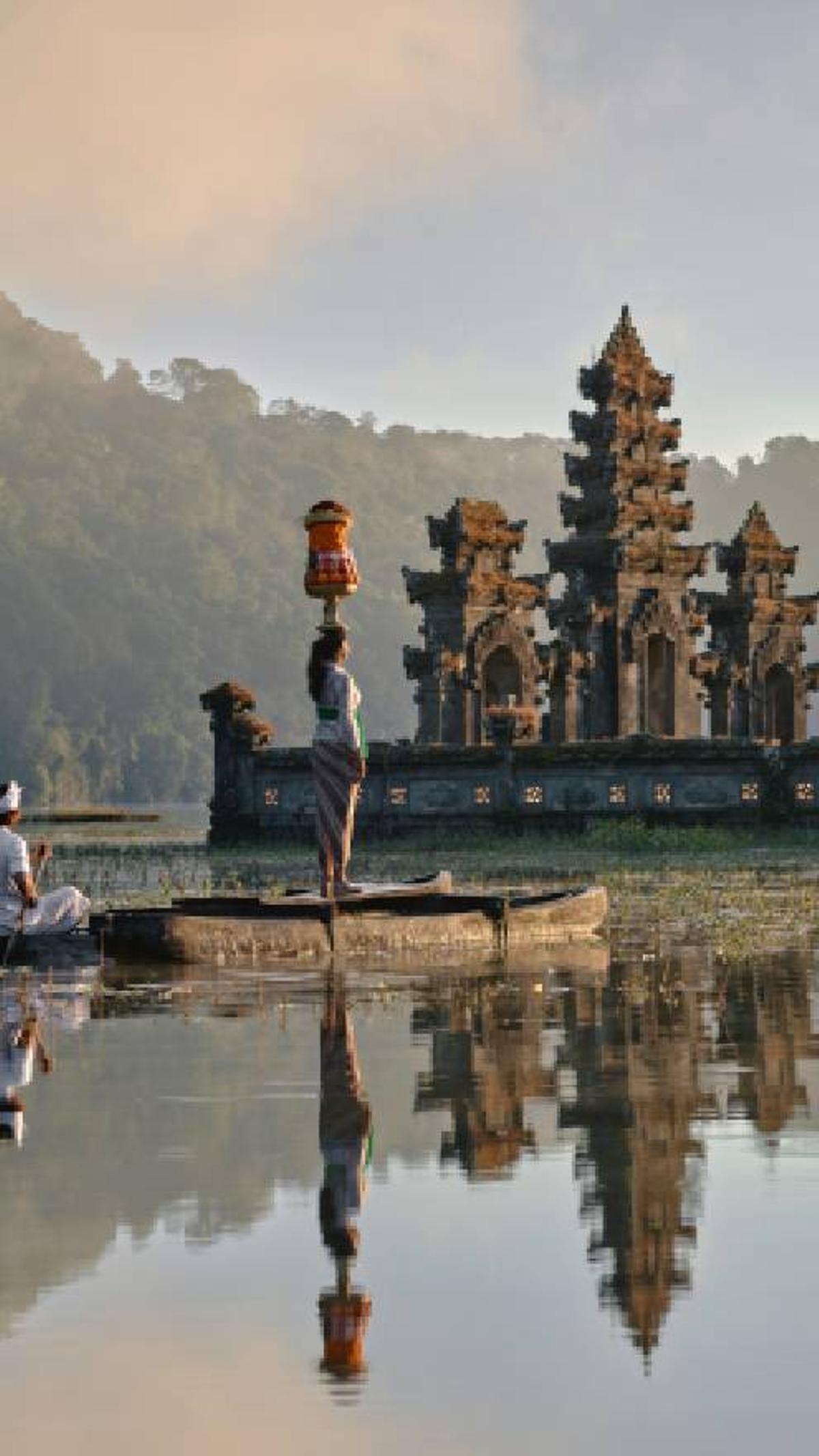 Paisaje de selva indonesia con orangutanes en los árboles