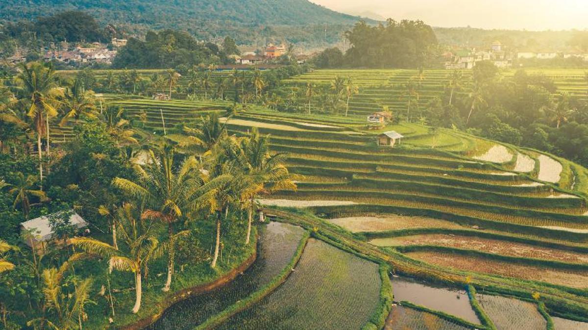 Templo balinés al atardecer reflejado en el lago