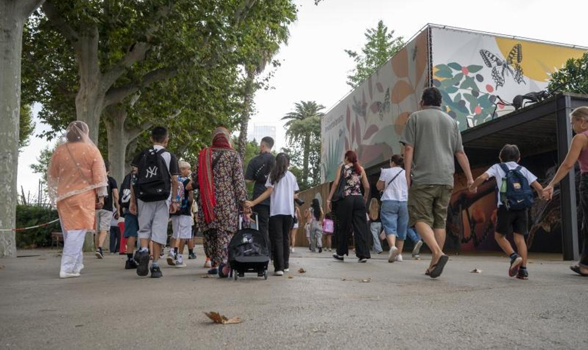 Calidad del aire: solo una de 26 escuelas del Camp de Tarragona respeta el límite de la OMS