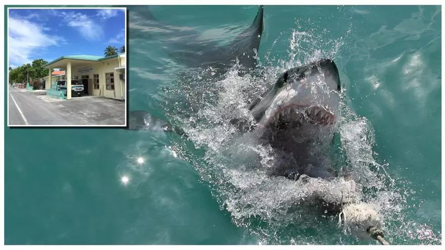 Documento judicial con la orden de investigación de la Audiencia Nacional