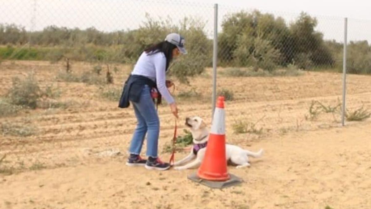 Discapacidad laboral: Tribunal de Andalucía revoca incapacidad permanente a Carmen Calderón y la obliga a reincorporarse