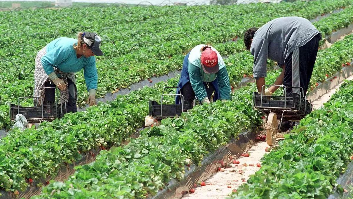 Real Decreto regulariza 3.000 migrantes en Extremadura