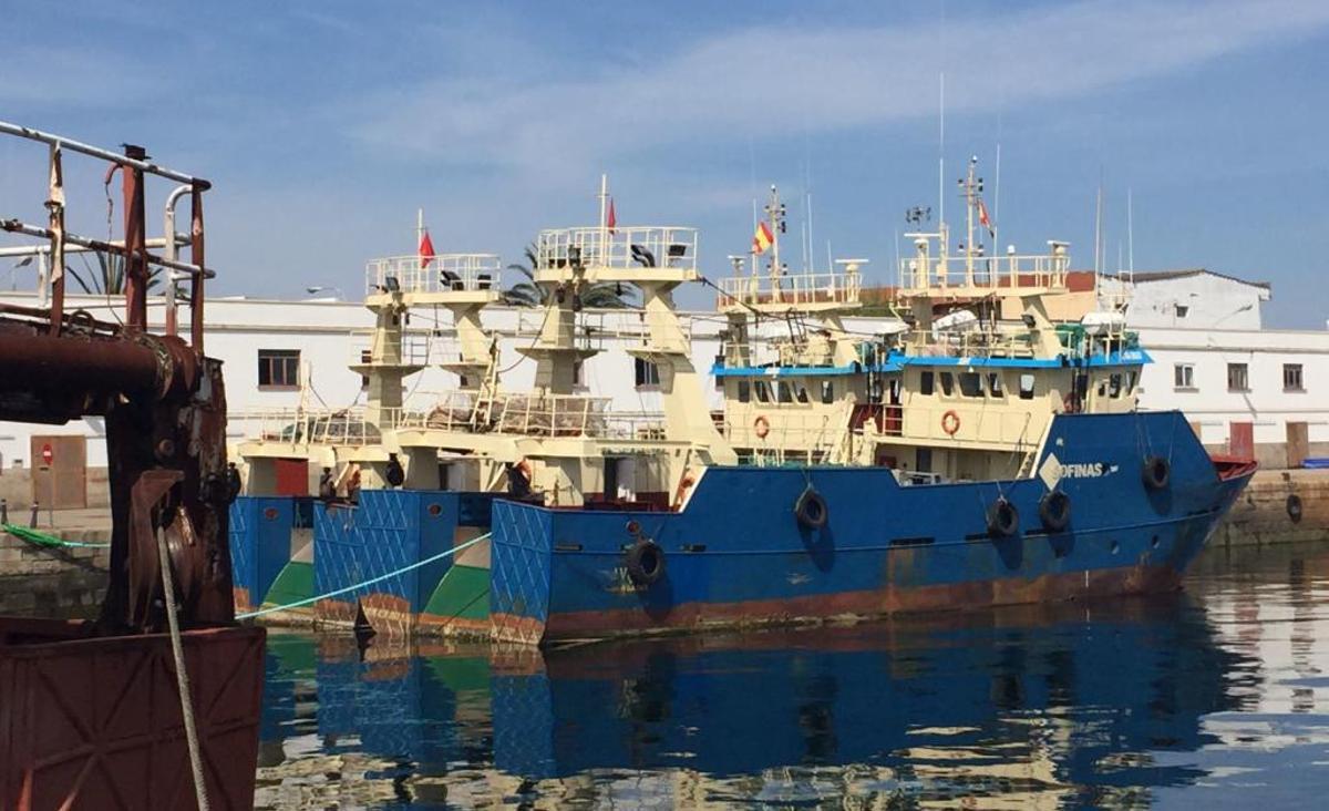 Línea de producción de Profand en Vigo