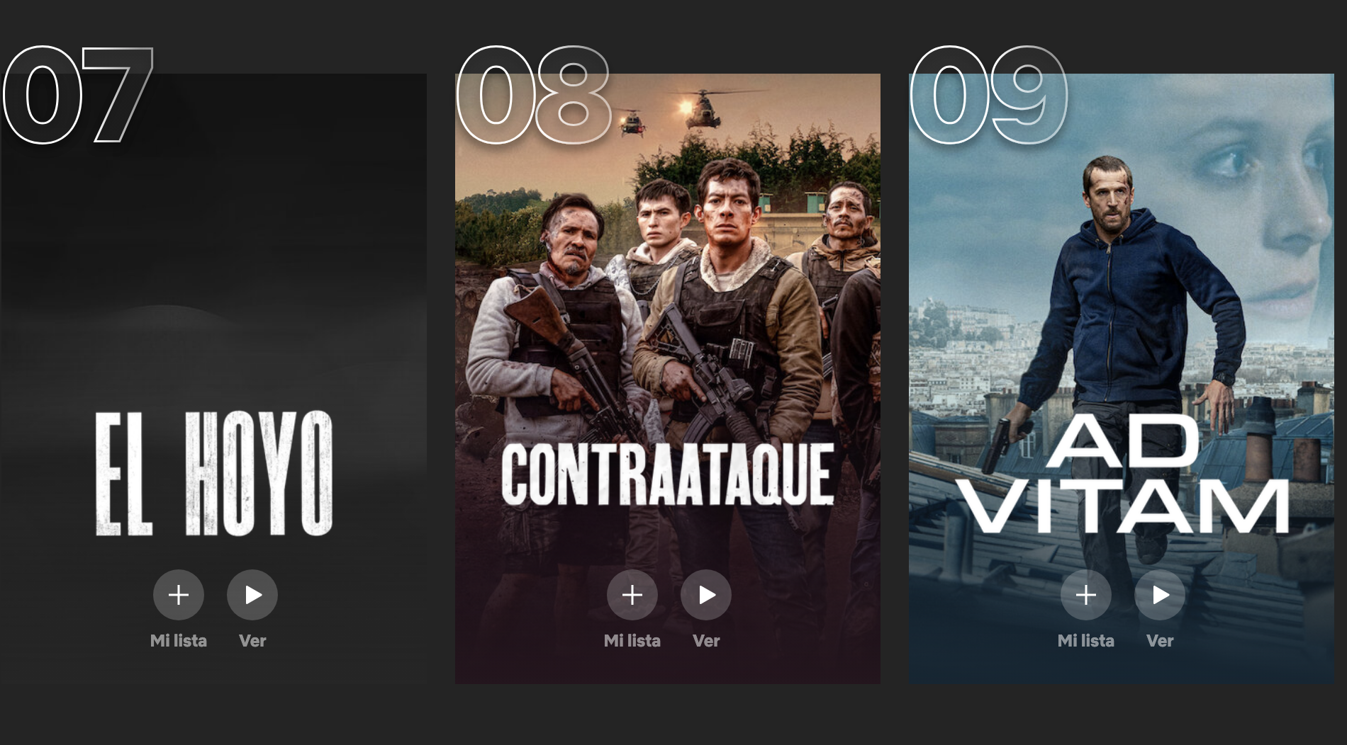 Captura de pantalla de la supuesta página de 'Ad Vitam' en Netflix