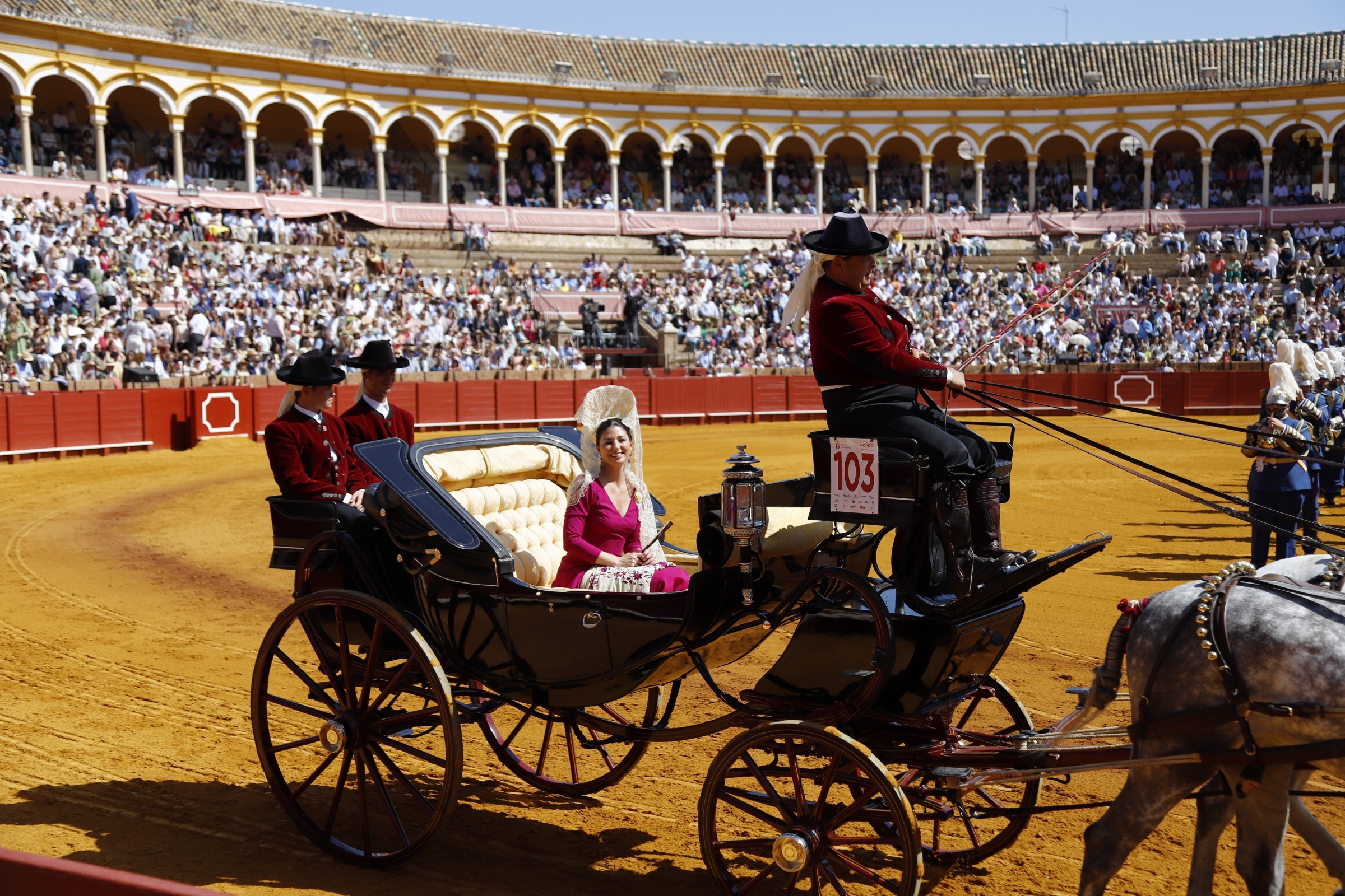 Carruajes de la exhibición de enganches frente a la Plaza de la Maestranza