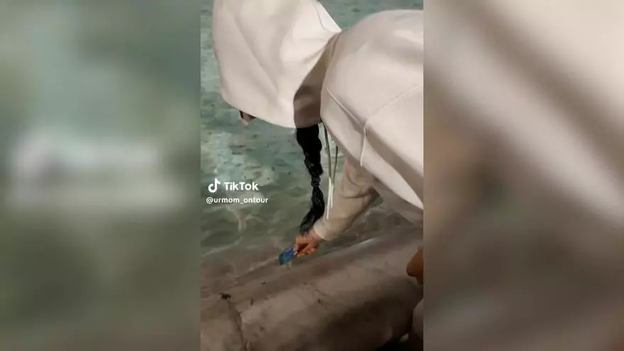 Delfines saltando cerca del paseo marítimo del Fòrum