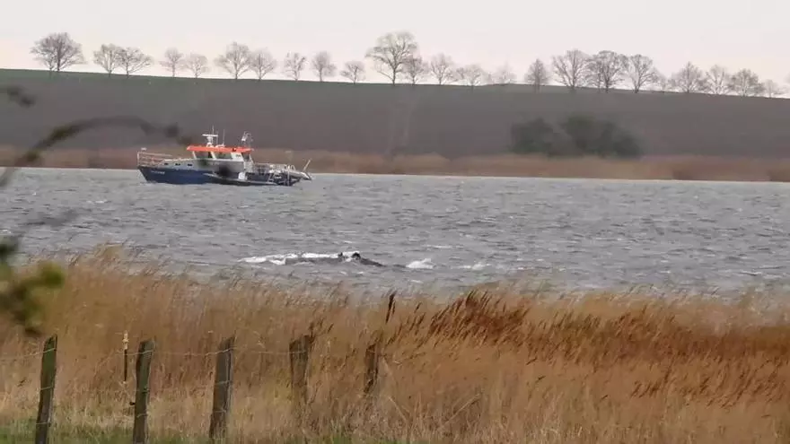 Documento manuscrito con la orden de borrar audios