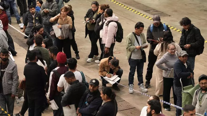 Detalle de la aleta dorsal del tiburón peregrino, identificada por investigadores