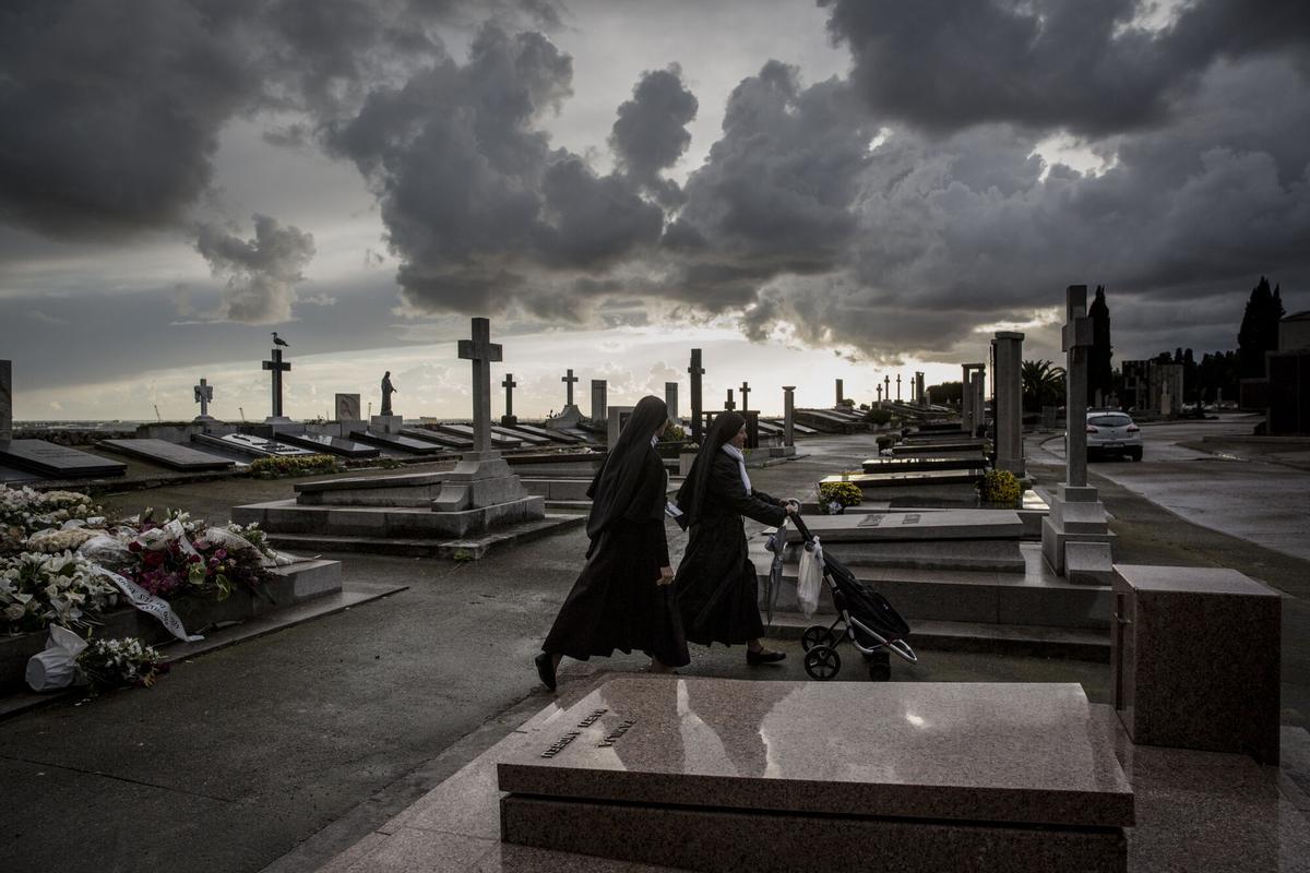 Rosa comestible sobre una mesa de madera, símbolo de la edición 2026 de Sant Jordi en Barcelona