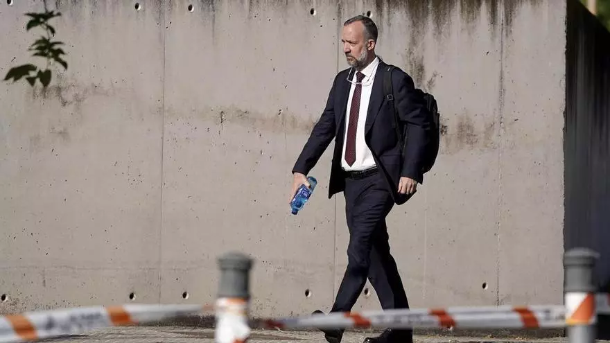 Ibis migratorio posado en humedales del Alt Empordà