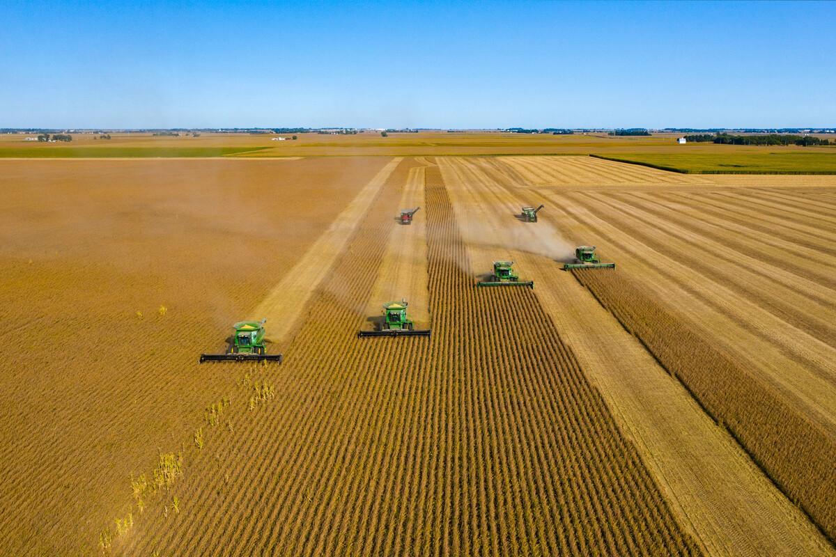 Mapa de distribución del jilguero en España
