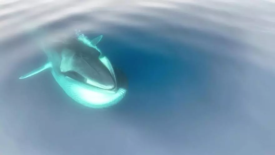 Nadia Farès en el estreno de The Crimson Rivers