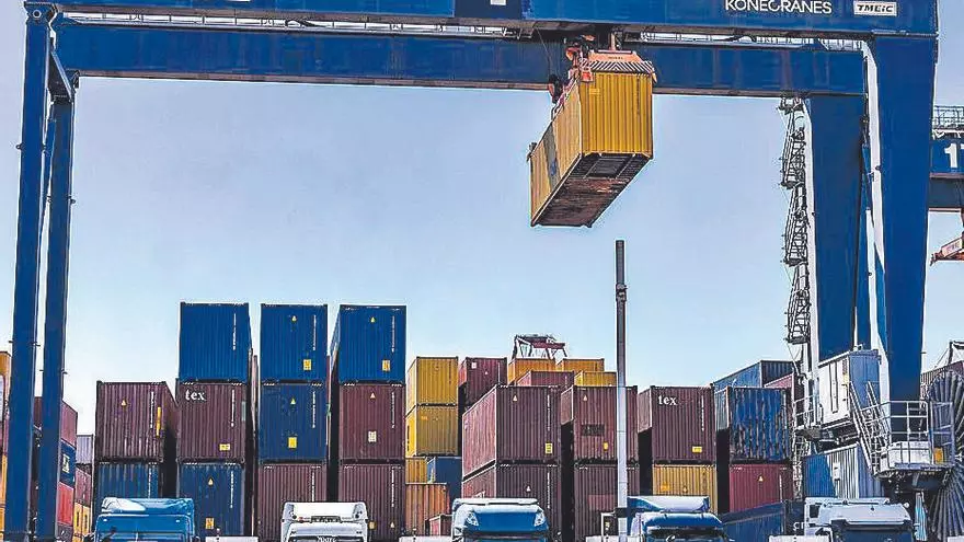 Cachorros dentro de una bolsa colgada de un árbol en Castañeda