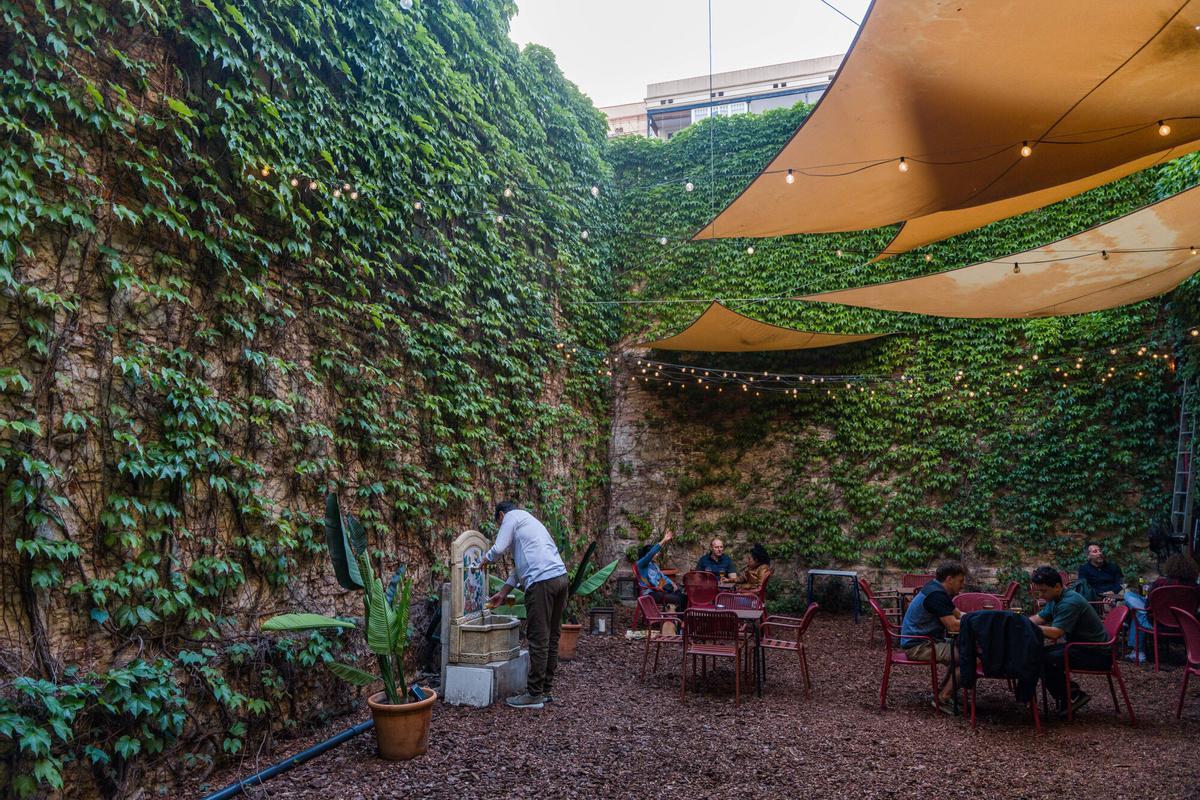 Terraza interior de La Barcelonesa cubierta de enredaderas y fuente de cerveza