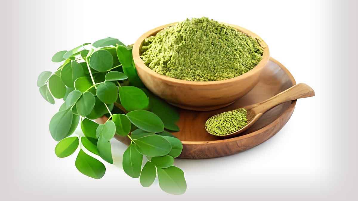 Árbol de moringa en cultivo sostenible