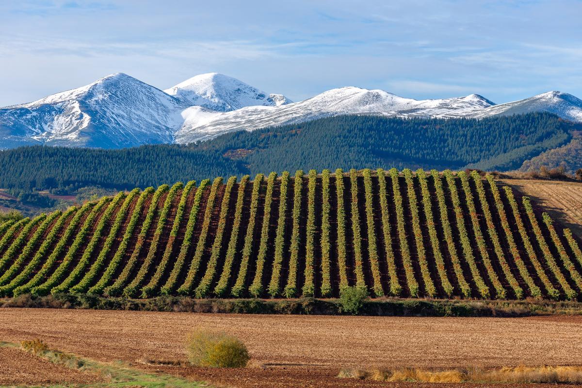 Avión de Vueling sobre el paisaje de La Rioja