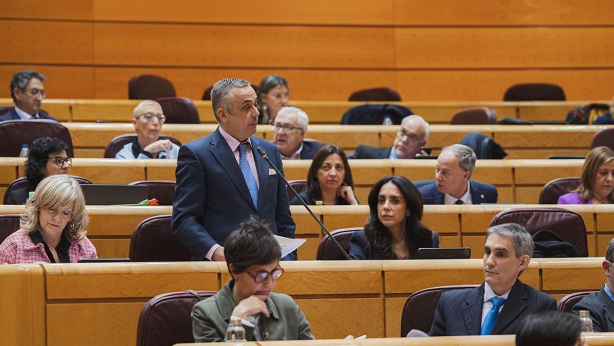 Sesión plenaria del Senado con los diputados de Vox Ángel Pelayo Gordillo y Óscar Fernández