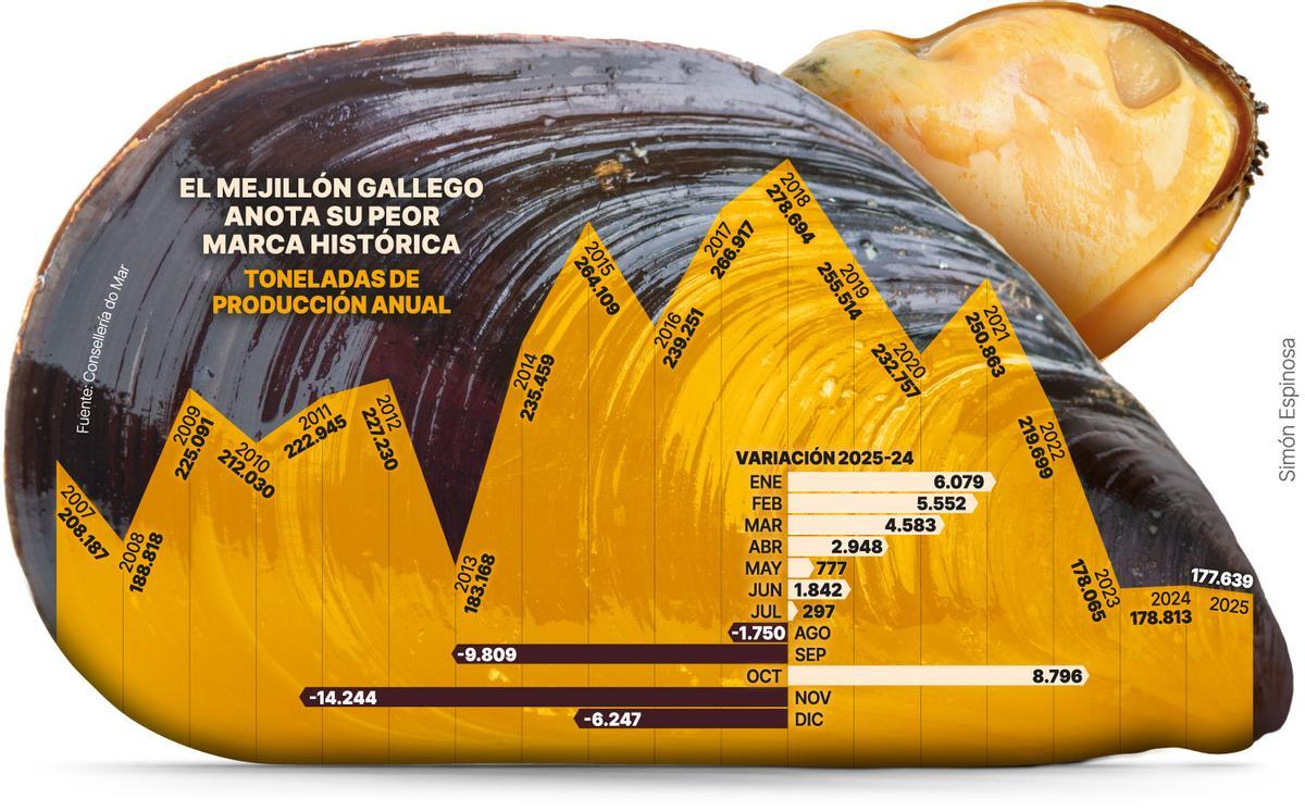 Vista aérea de las rías gallegas cerradas por biotoxinas en noviembre