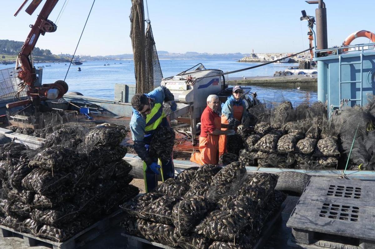 Bateadores gallegos inspeccionando las instalaciones tras la reapertura