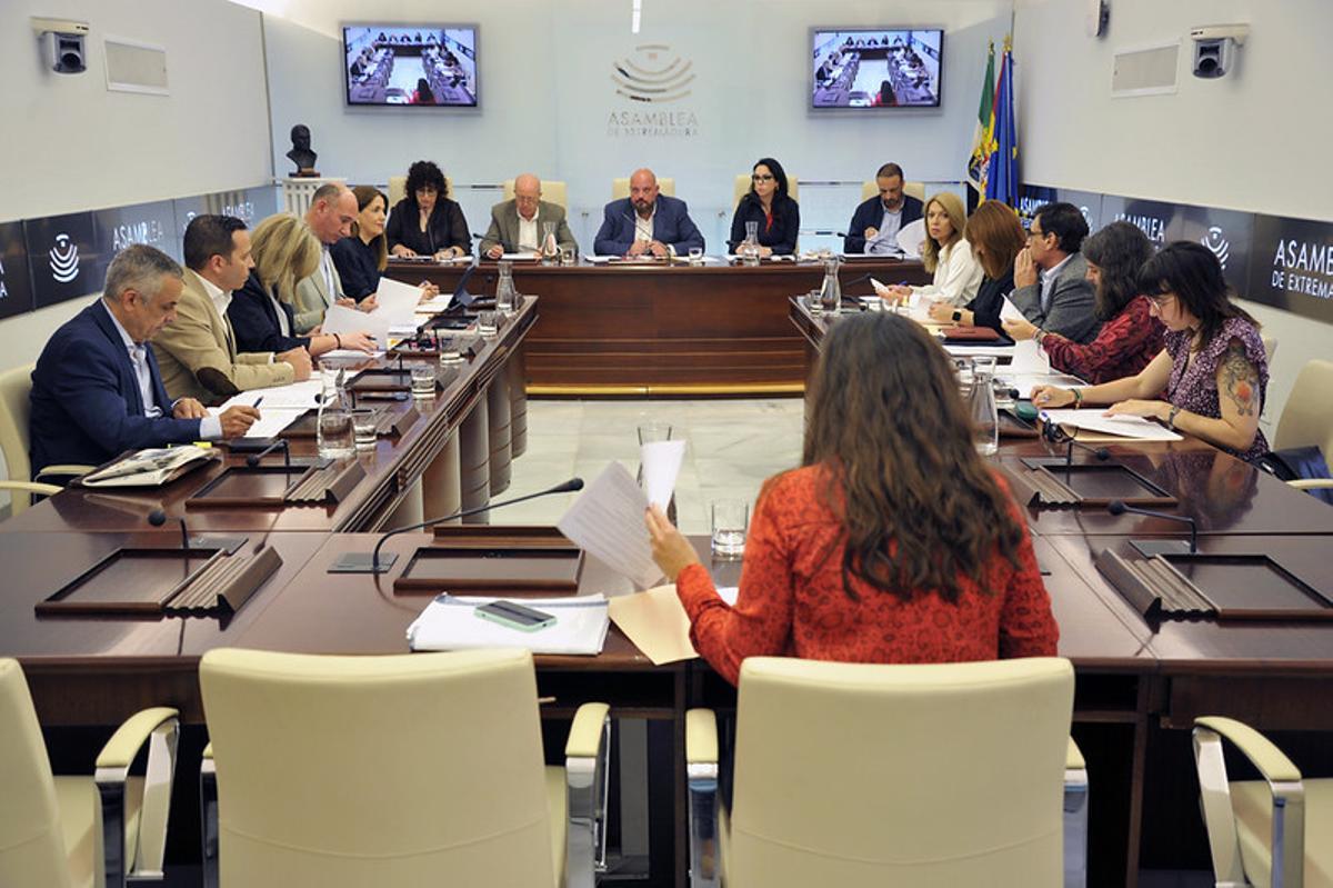 Junta de Portavoces de la Asamblea de Extremadura aprobando la reducción de preguntas