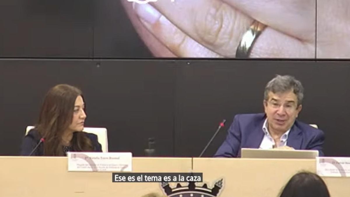 Judicatura encabeza la violencia institucional machista según informe OVIM