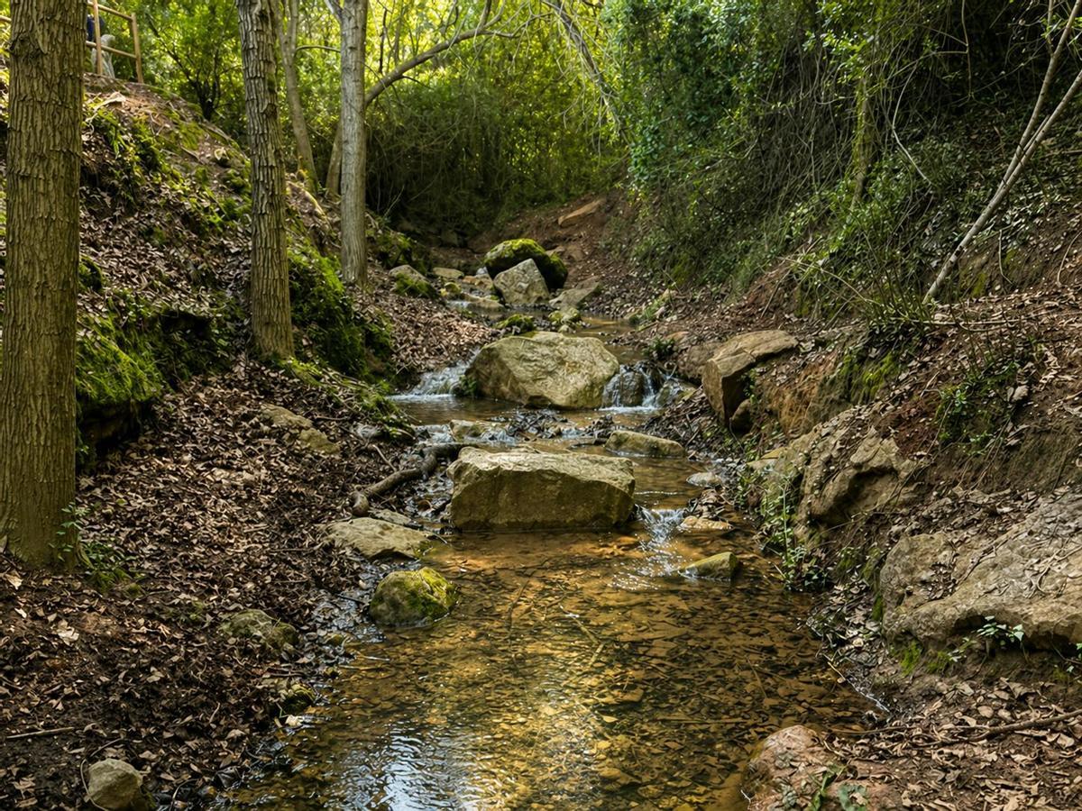 Cascada Font de les Rovires rodeada de vegetación en el Baix Llobregat