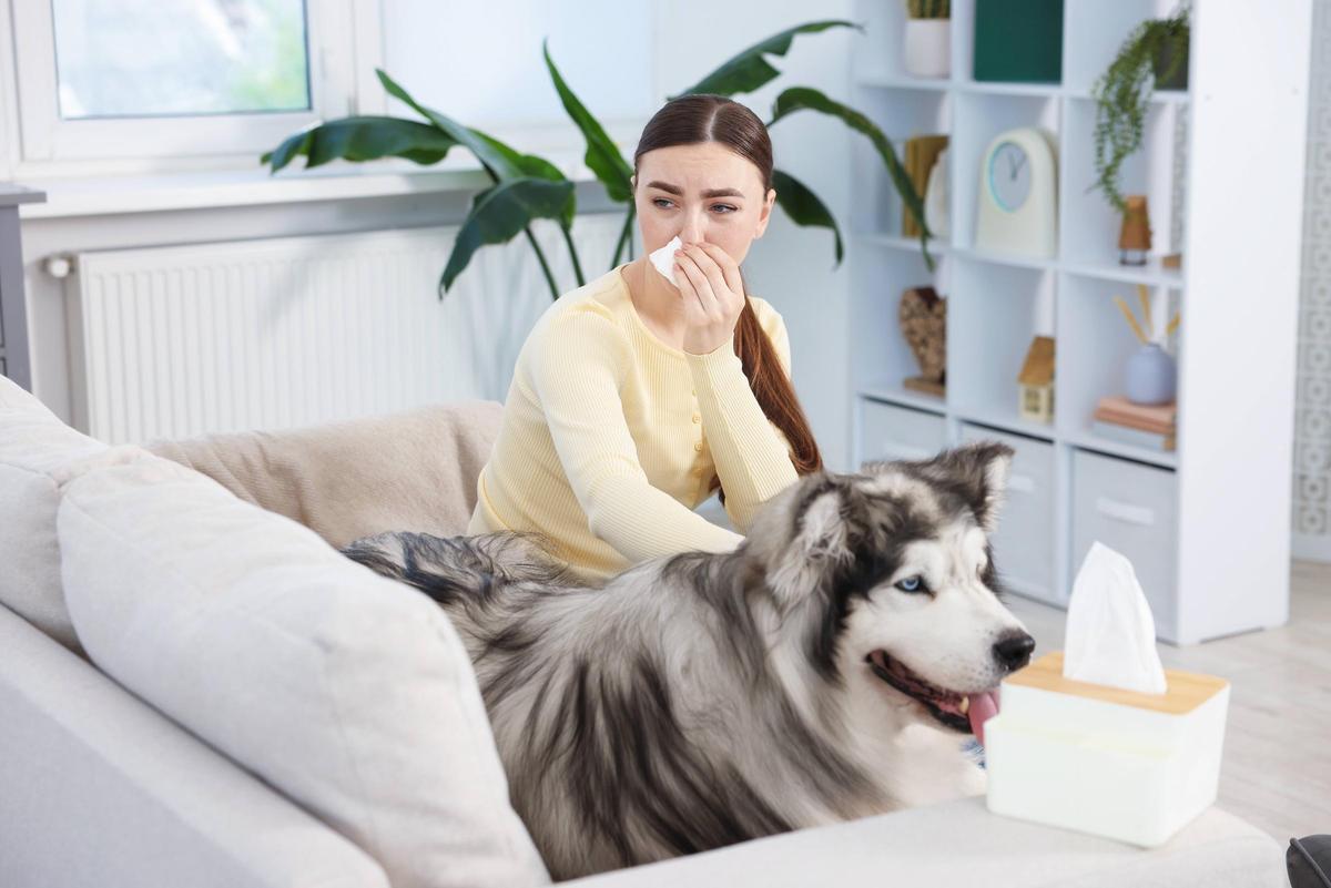 Alergia a perros y gatos sin convivir, confirma SEICAP