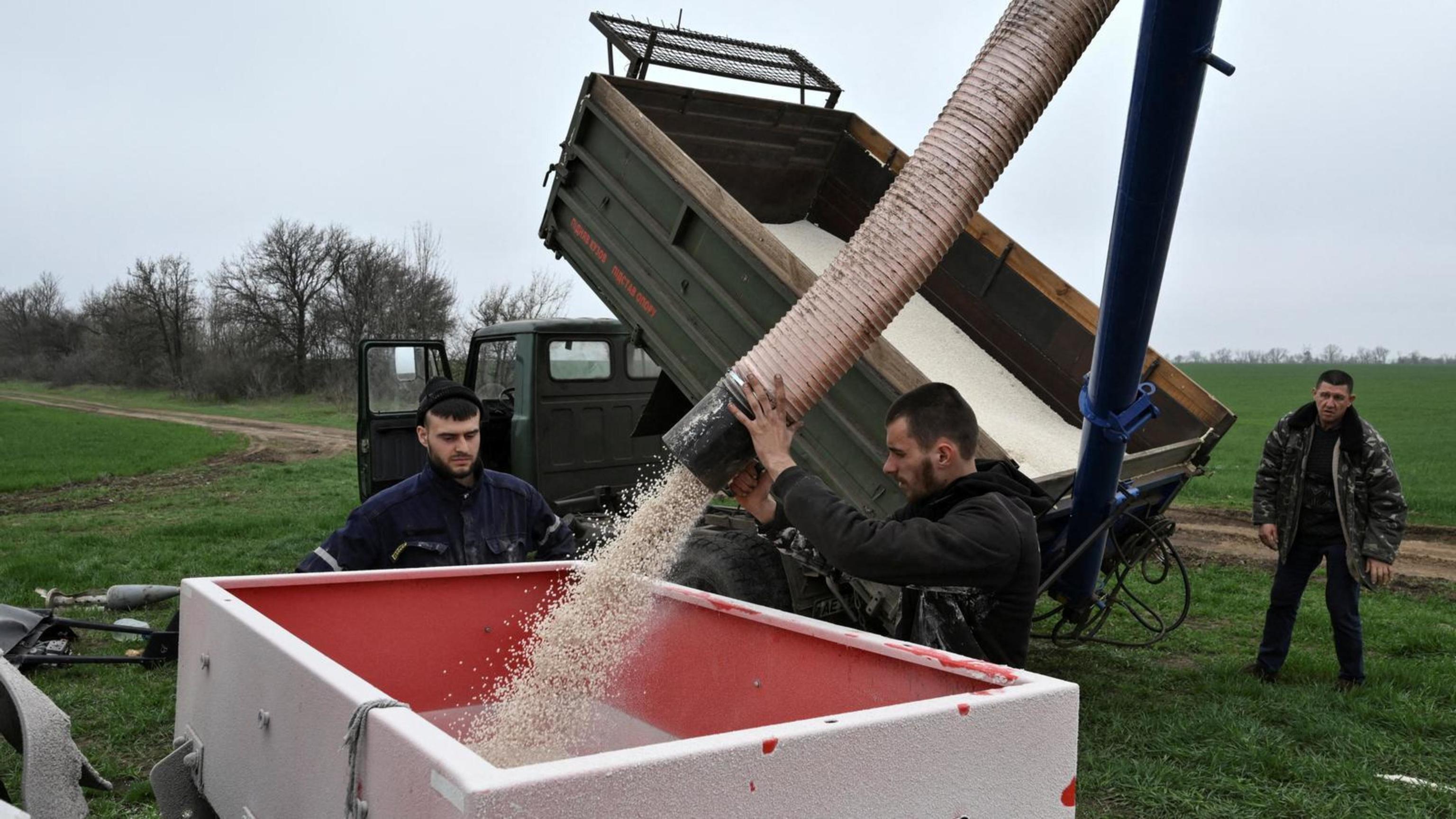 Israel cereal Ucrania: 70.000 toneladas llegan a puertos israelíes