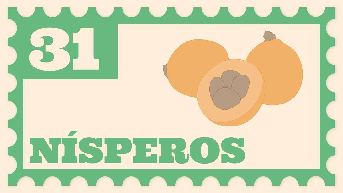 El níspero llega al mercado español en mayo, marcando el inicio del verano
