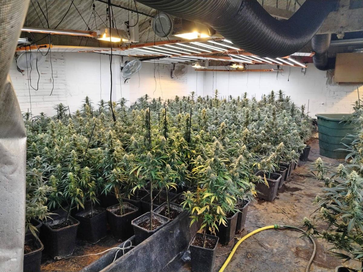 Gráfica que muestra la distribución del fraude eléctrico entre hogares, industrias y cultivos indoor de cannabis en 2025