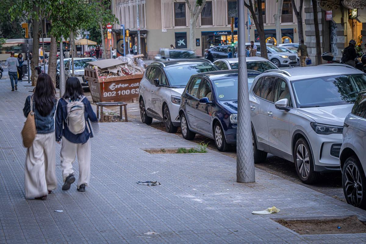 Alcorques vacíos en la plaza del Diamant, Vila de Gràcia, Barcelona