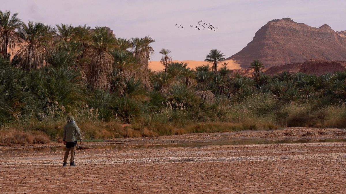 Zerzura podría estar en Chad, según el explorador español Miguel Gutiérrez‑Garitano