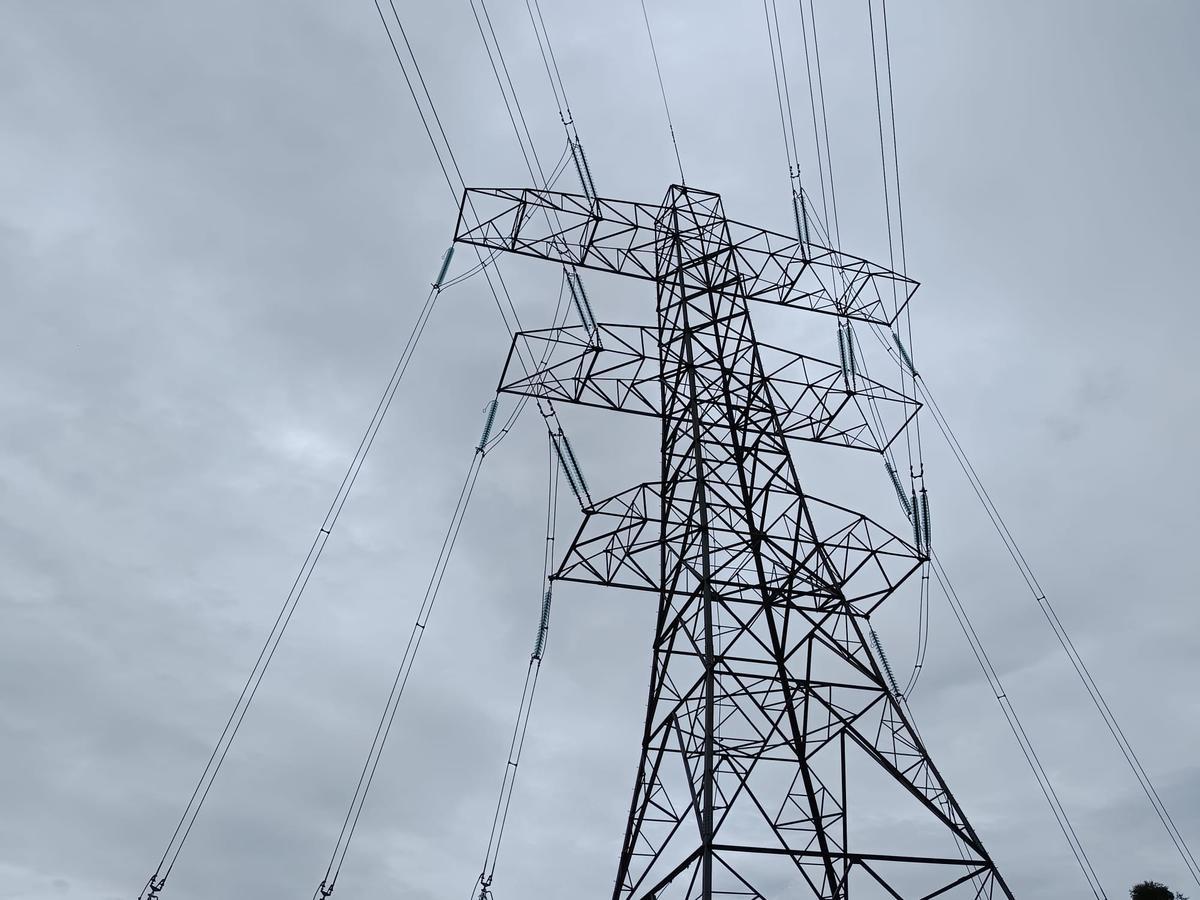 Red Eléctrica pide al Gobierno autoridad para desconexiones de urgencia en menos de un minuto