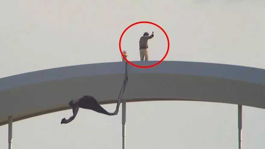 Equipo sanitario realizando inspección en una vivienda