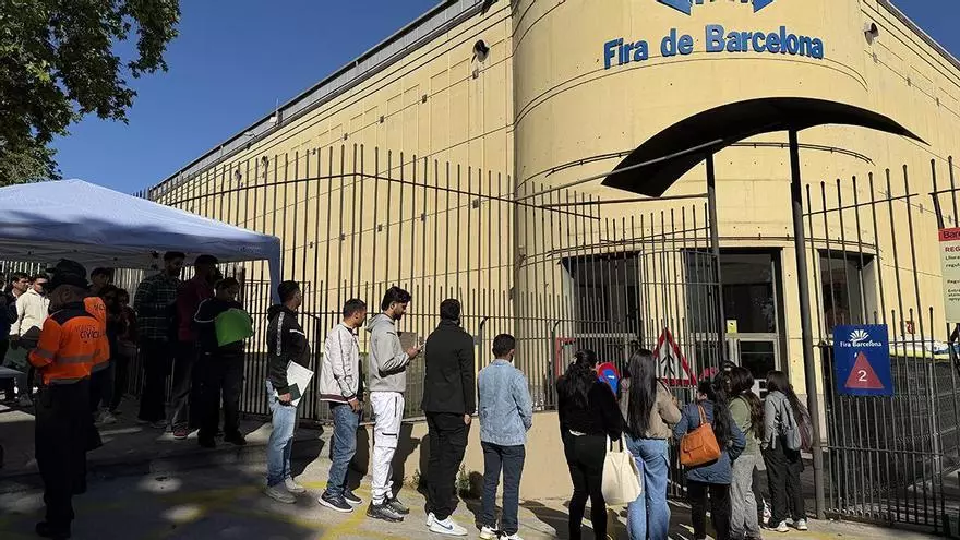 Fotografía de roedores en zona andina, posible foco de transmisión del hantavirus