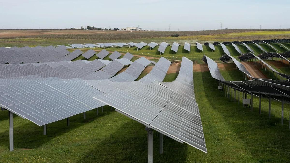 Alterna Energía registra un 25 % de crecimiento y factura 25 M € en 2025