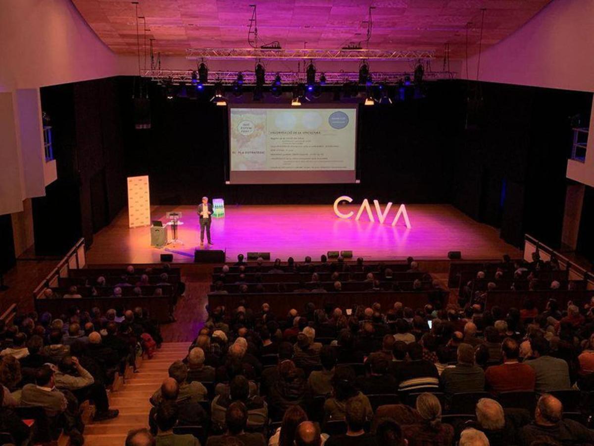 DO Cava elige este jueves los 12 vocales del nuevo Consejo Regulador
