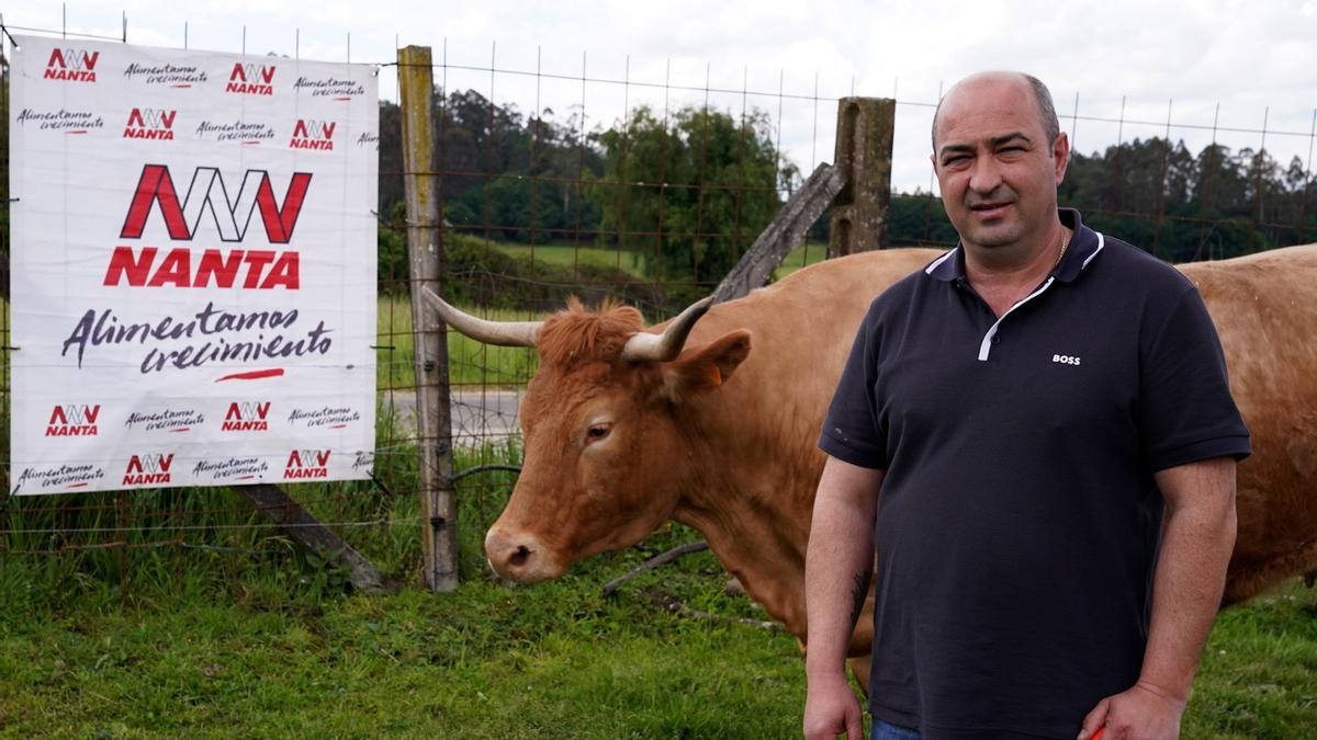 Vaca más cara de Galicia: venta de Linda por 10.508 € rompe récord en Silleda