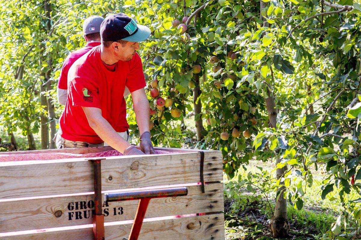 Planta de Rensika en Rubí donde se produce el hummus para Mercadona