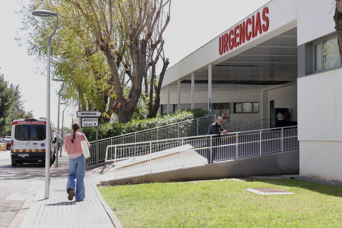 Hantavirus: primera sospecha en España obliga a una alicantina a aislamiento
