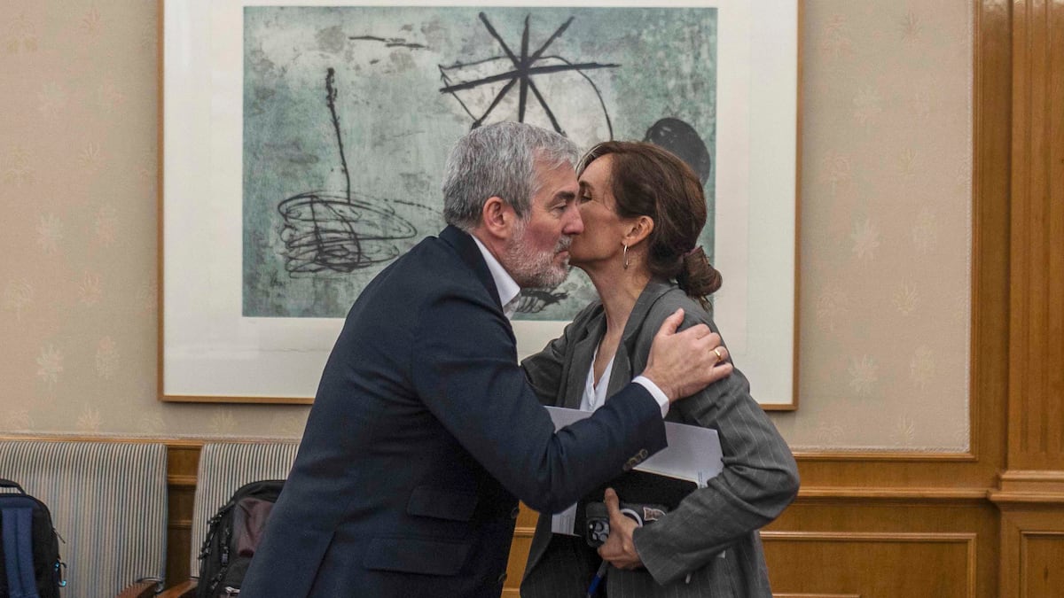 Ratones nadadores: la polémica que amenaza la operación OMS en Canarias