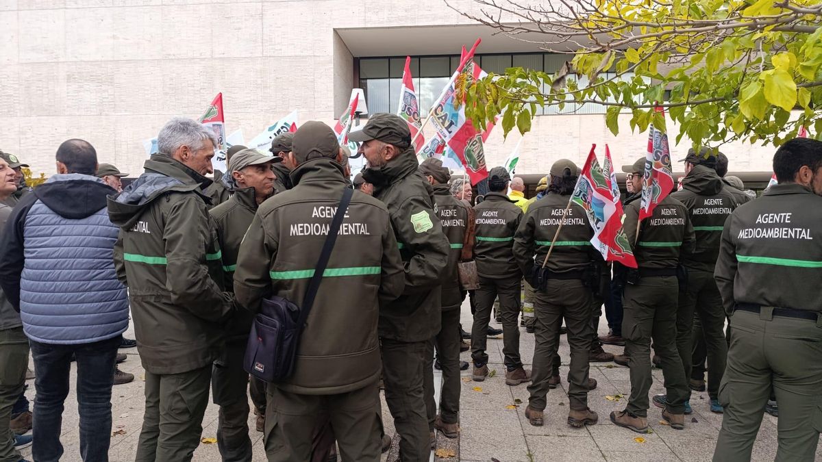 Denuncias medioambientales en Palencia: solo una tramitada y 578 pendientes