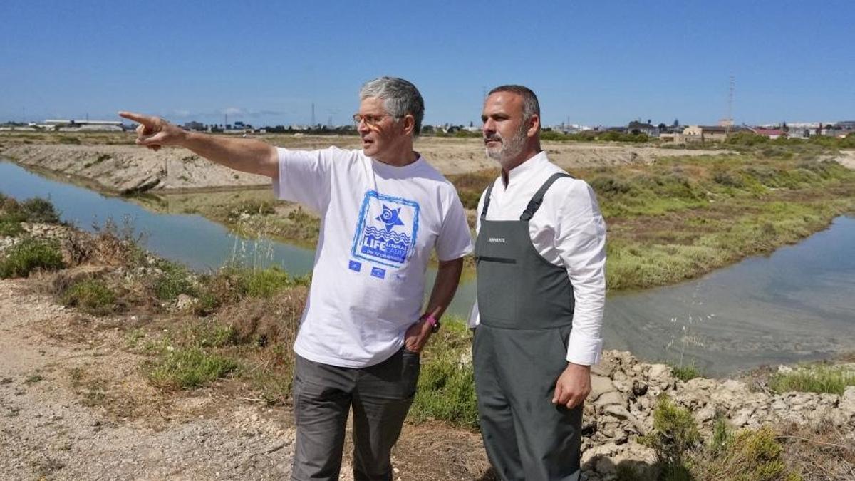 Marisma restaurada junto al restaurante Aponiente, con vegetación autóctona y canales de agua