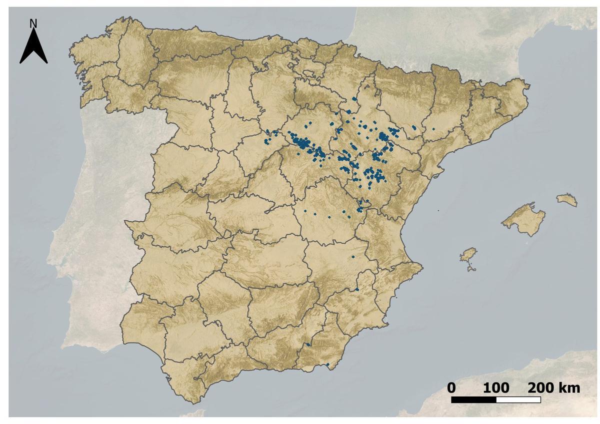 Vista aérea de la zona de la ZEPA de Parameras de Maranchón, donde se proyectan las granjas avícolas