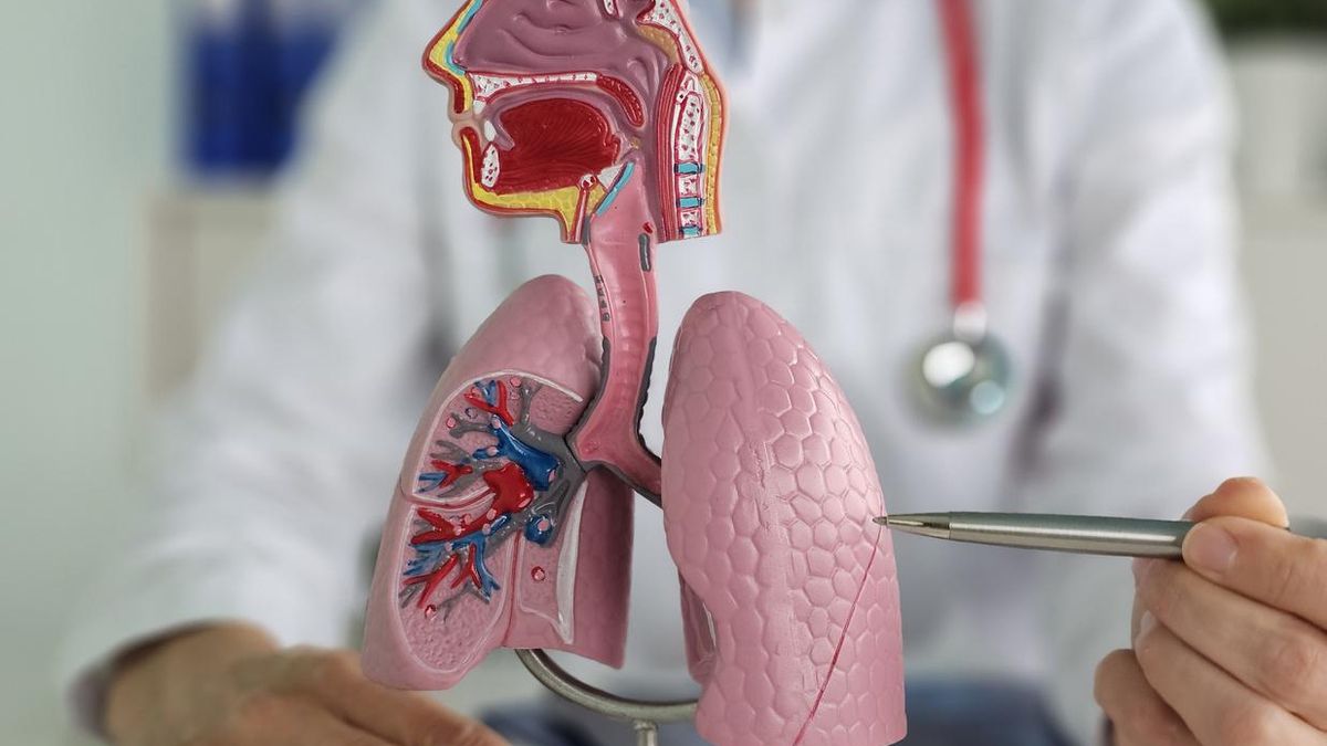 EPOC: GSK lanza el programa ANTES para detectar antes la enfermedad en España