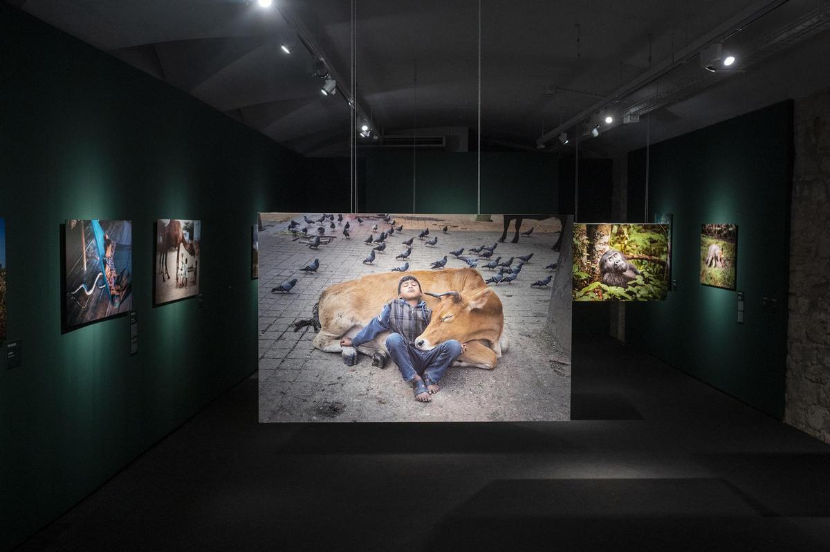 Retrato íntimo de una mujer en Asia capturado por Steve McCurry