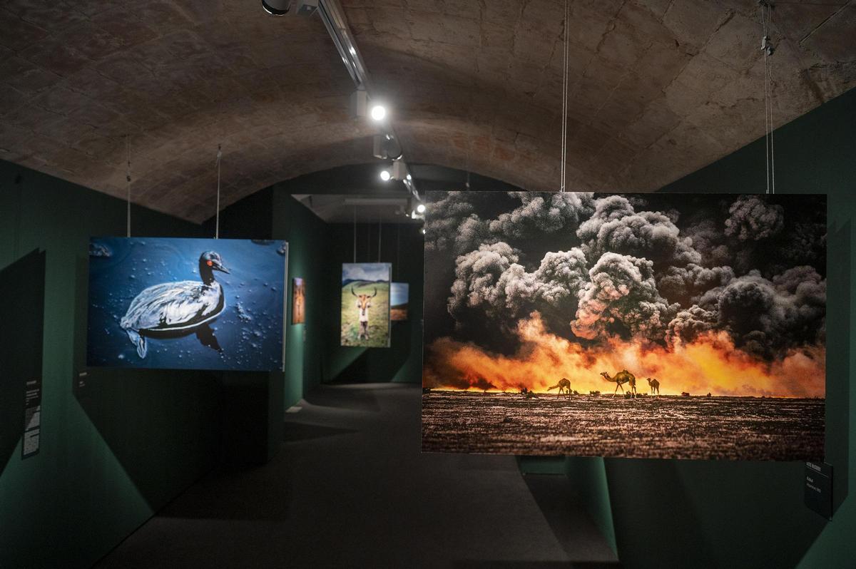 Escena colorida de un mercado callejero en África, obra de Steve McCurry