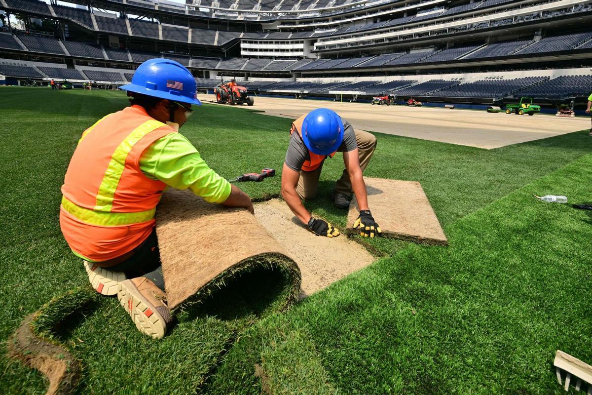 Trabajadores extendiendo el nuevo césped en el SoFi Stadium, Inglewood