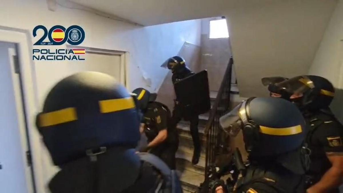 Detalle de los decomisos de droga y efectivo